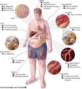 بیماری‌های متابولیک ارثی