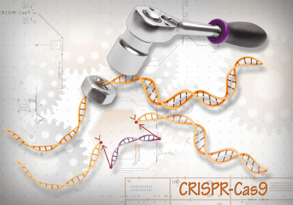 نتایج امیدوار کننده ی یک درمان سرطان جدید کریسپر برای اولین بار بر روی انسان!