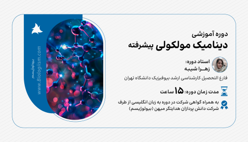 دوره ی جامع دینامیک مولکولی پیشرفته