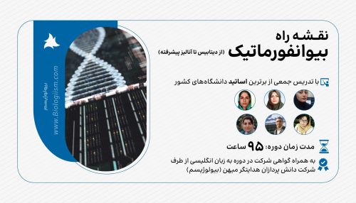 بیوانفورماتیک: از دیتابیس تا آنالیز پیشرفته