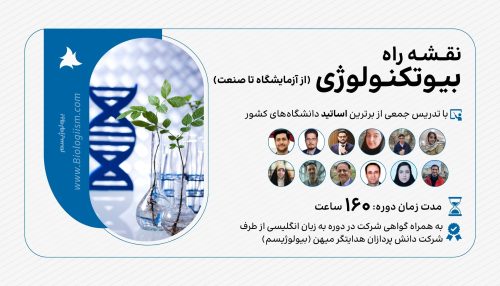 نقشه راه بیوتکولوژی